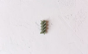 
                  
                    Load image into Gallery viewer, SPIRULINA TRUCIOLI (2.5 kg)
                  
                